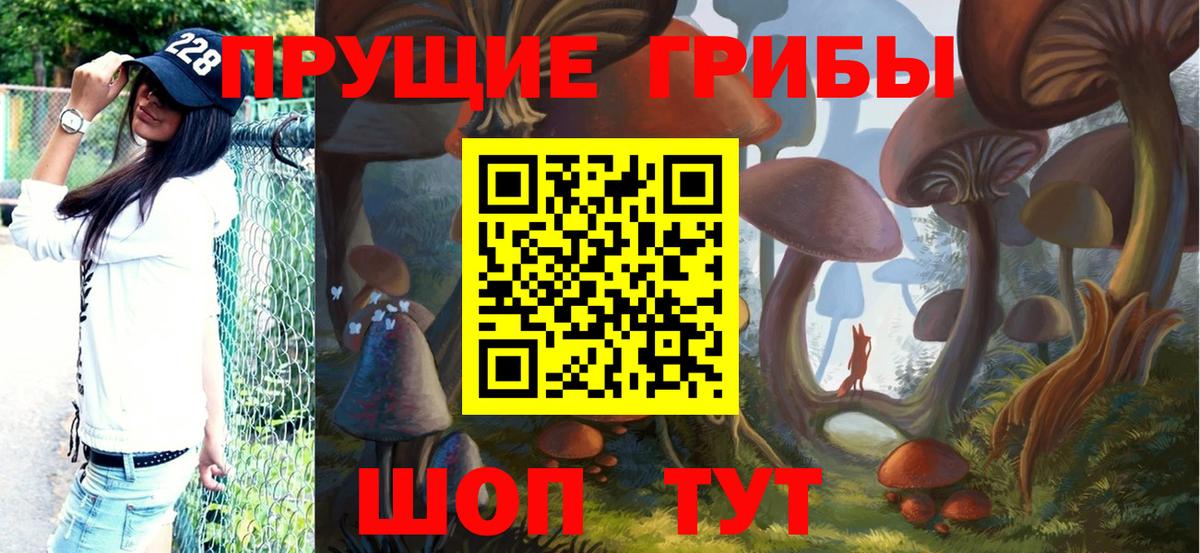 купить  цена  Галлюциногенные грибы GOLDEN TEACHER  Вход с VPN  Псилоцибиновые грибы Psilocybine cubensis  Орск 